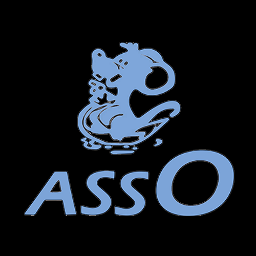Asso